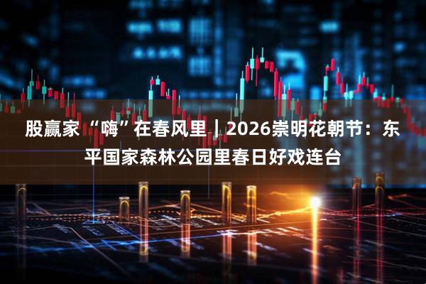 股赢家 “嗨”在春风里｜2026崇明花朝节：东平国家森林公园里春日好戏连台